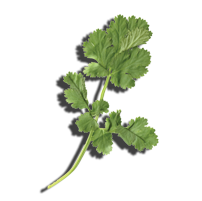 The Kurry Lounge - Restaurant