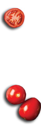 The Kurry Lounge - Restaurant